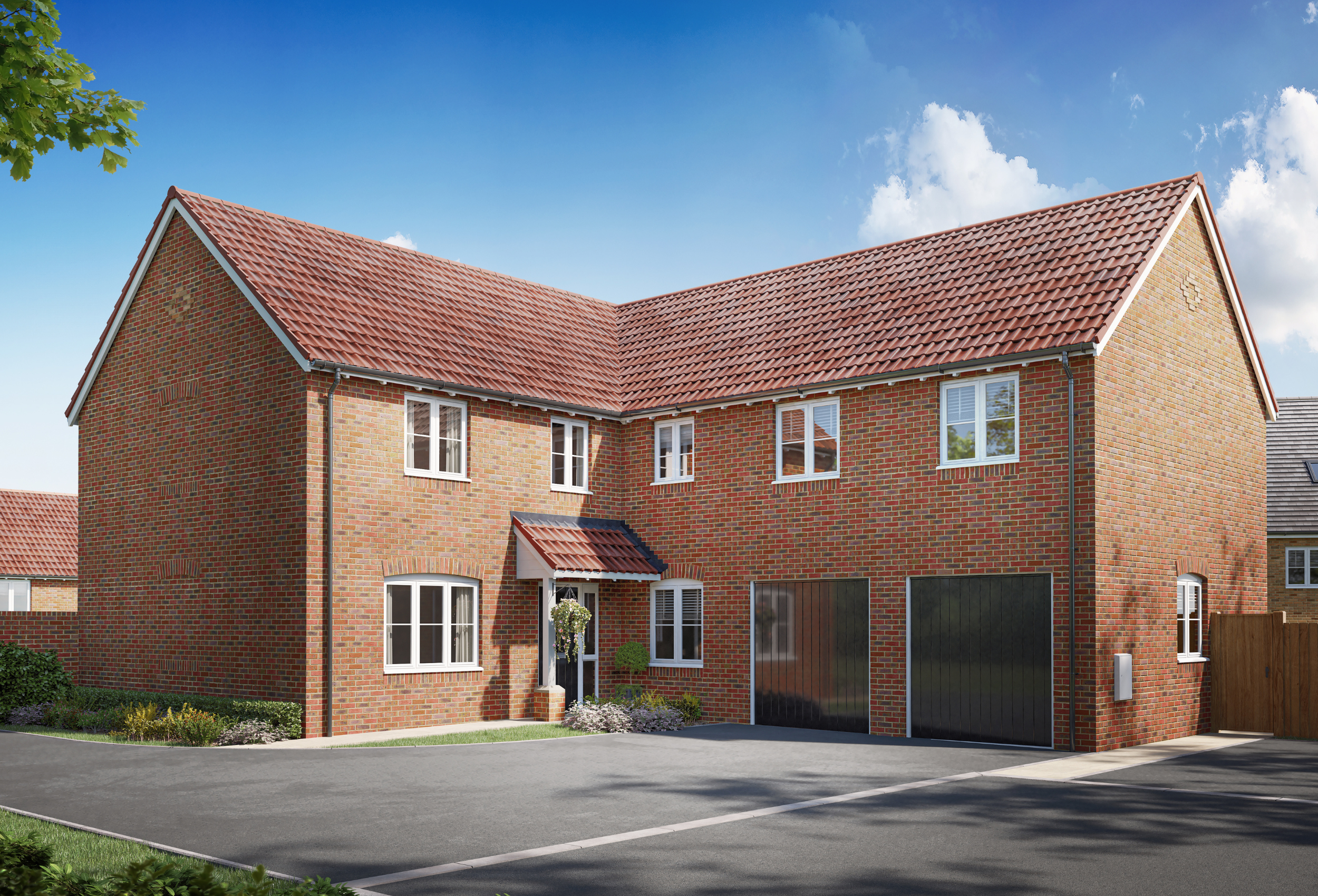 The Wellingtonia
