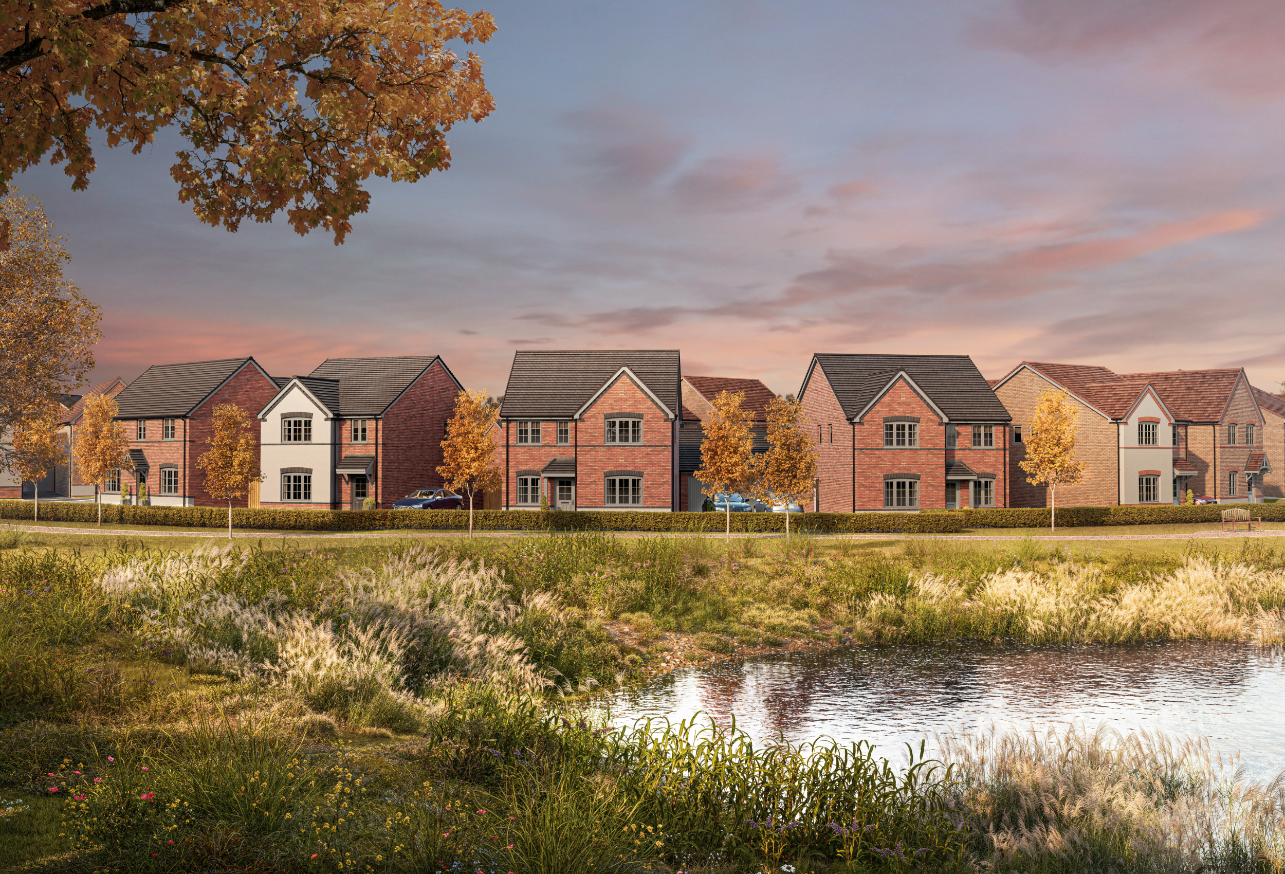 Auster Meadows