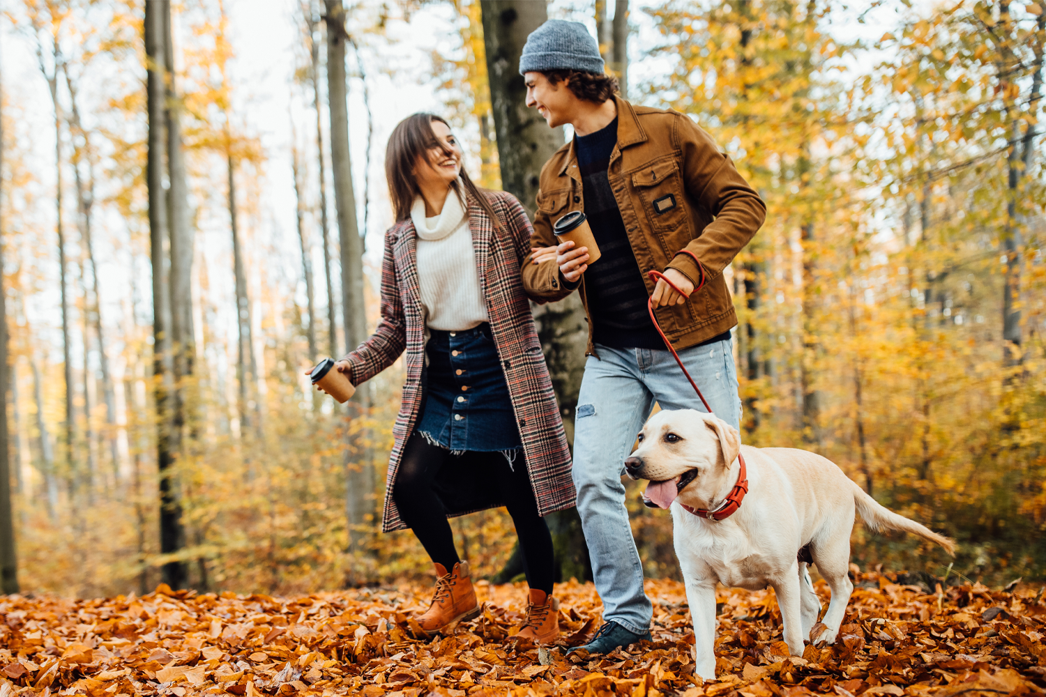 Pretty couple in love holding cups of tea or coffee and holding hands, walking with golden retriver labrador.